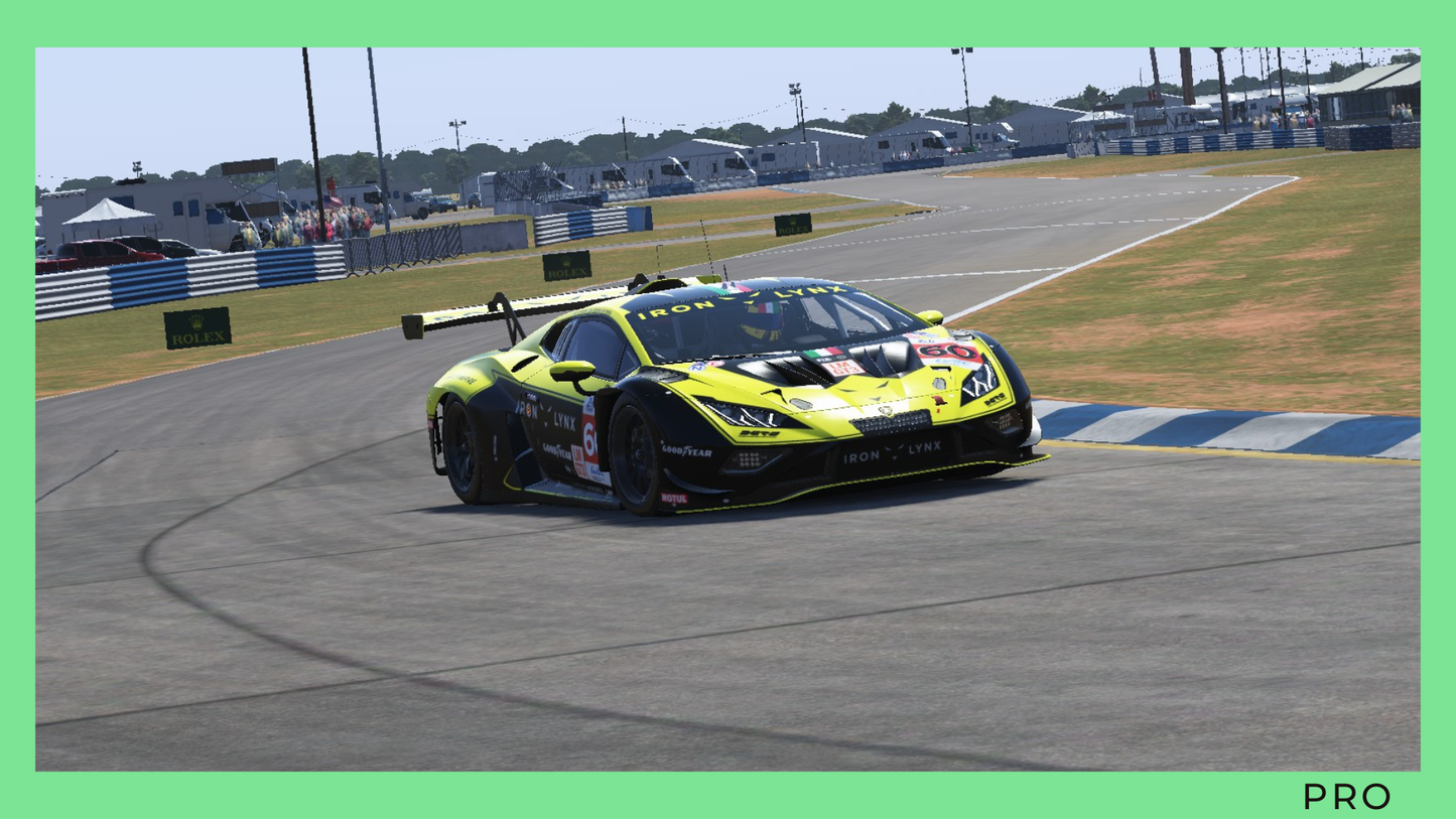 Le Mans Ultimate | Lamborghini GT3 | Sebring | Pro