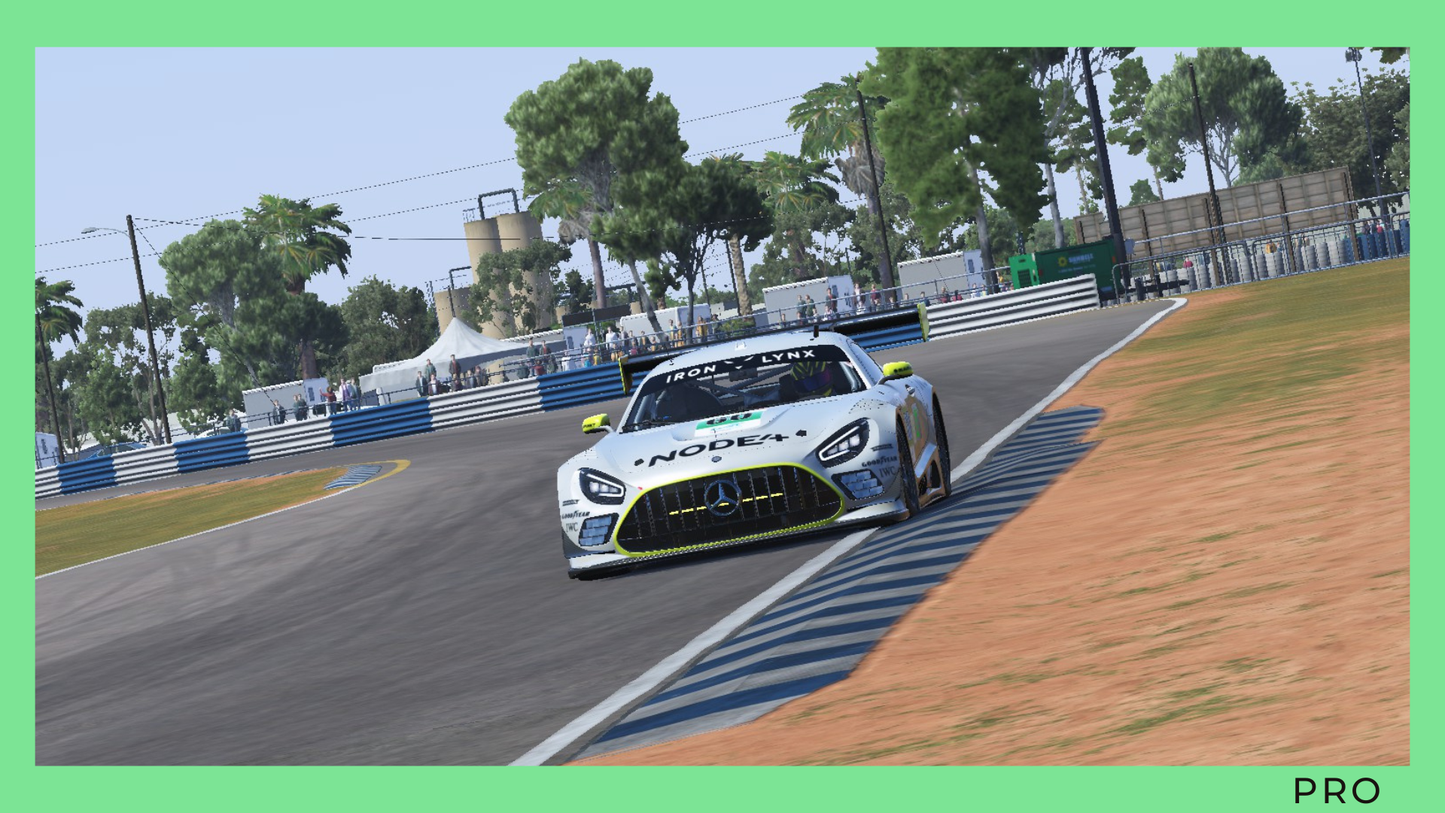 Le Mans Ultimate | Mercedes GT3 | Sebring | Pro